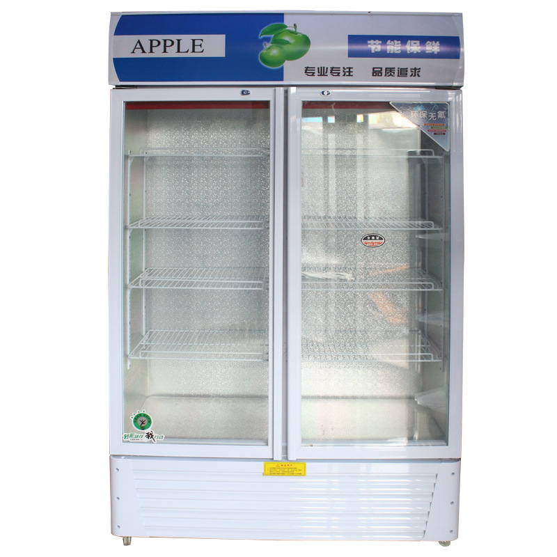 廠家現(xiàn)貨供應(yīng)單門雙門啤酒展示柜 冷藏立式冰柜 冷飲保鮮柜