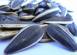 炒貨機(jī)系列 炒板粟機(jī) 炒瓜子機(jī) 炒松子機(jī) 炒榛子機(jī) 滾筒炒貨機(jī)